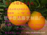 ��Ӧ��԰ֱ��������ȣ��ŷ��ĳȹ�ҵ&mdash;&mdash;��ӭ���Ź�