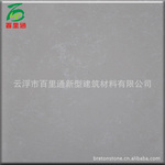 人造石 莎安娜CH8621(专业工程板和台面板,专供出口)