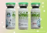 �³���+�ٲ���+��֧�������