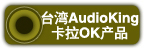 ̨��AudioKing..