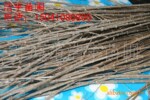 丁香接穗 红花丁香接穗 垂枝丁香接穗 嫁接穗