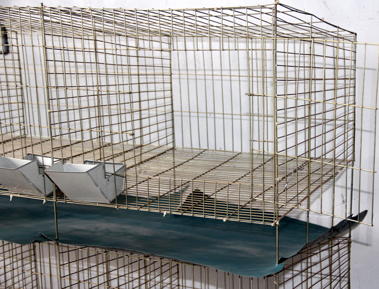 厂家直销优质养殖设备兔笼子、子母笼014图片