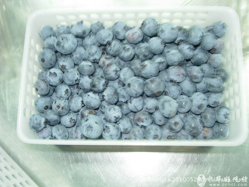 野生有机蓝莓、红豆果干图片,野生有机蓝莓、