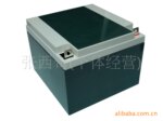 ��Ӧ�綯������ר������12V24AHǦ���ƿ