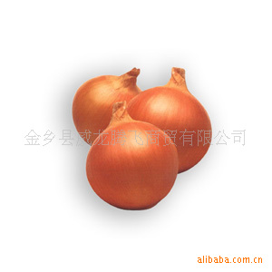 【金乡县威龙腾飞商贸库存专业加工出口价格价