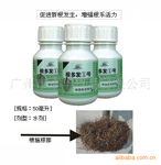 大量批发供应大树移栽护理产品“根多发1号”,促新根增活力