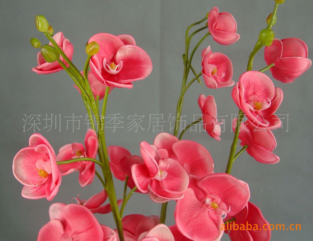 【高级PU材质 人造花 干花 蝴蝶兰“花中君子”厂家直销 外贸仿真花】价格,厂家,图片,其他日用工艺品,深圳市锦季家居饰品有限公司-马可波罗网