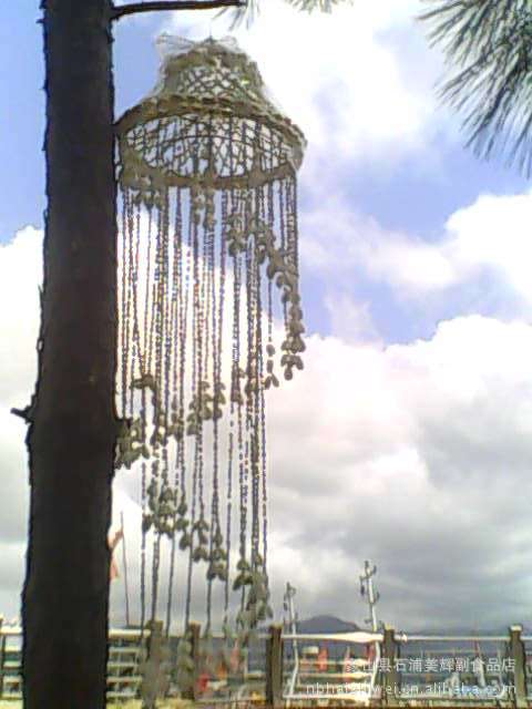 (小额批发)纯天然海螺风玲--大宝螺风玲图片,(小