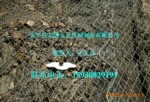 ���ҹ�Ӧֲ���̻�����ê��֧��������˿�̻�������ͨ�̻�ֲ������