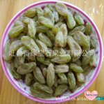 ��Ӧ������³�� ������ɫ���Ѹ�