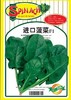 绿霸进口杂交一代菠菜种子/全能菠菜种子