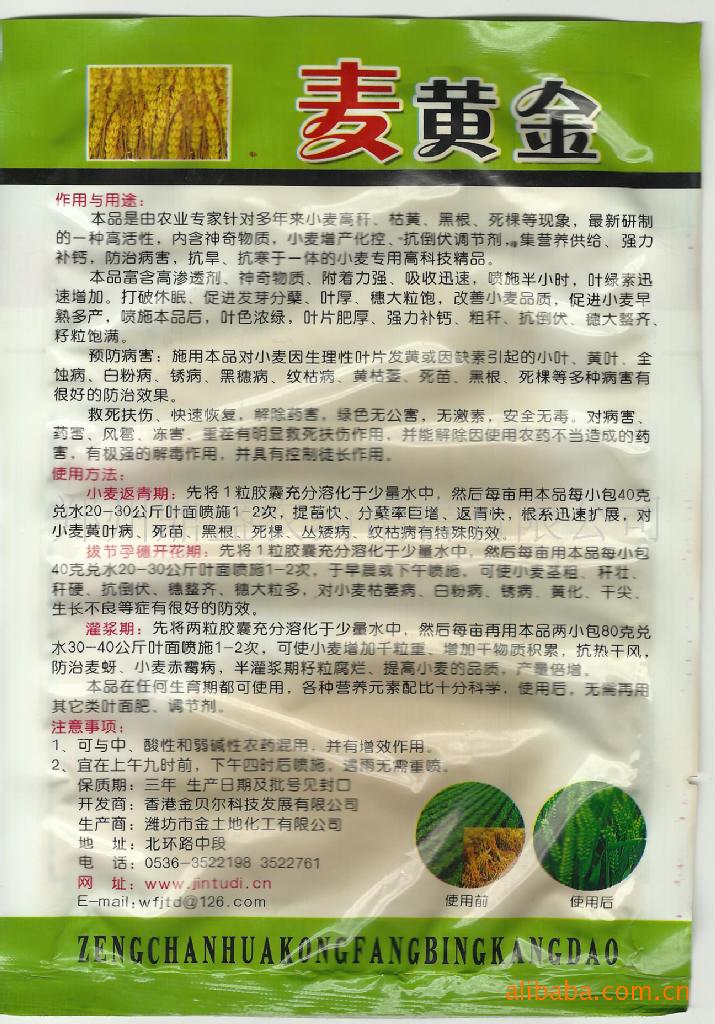 照片 023