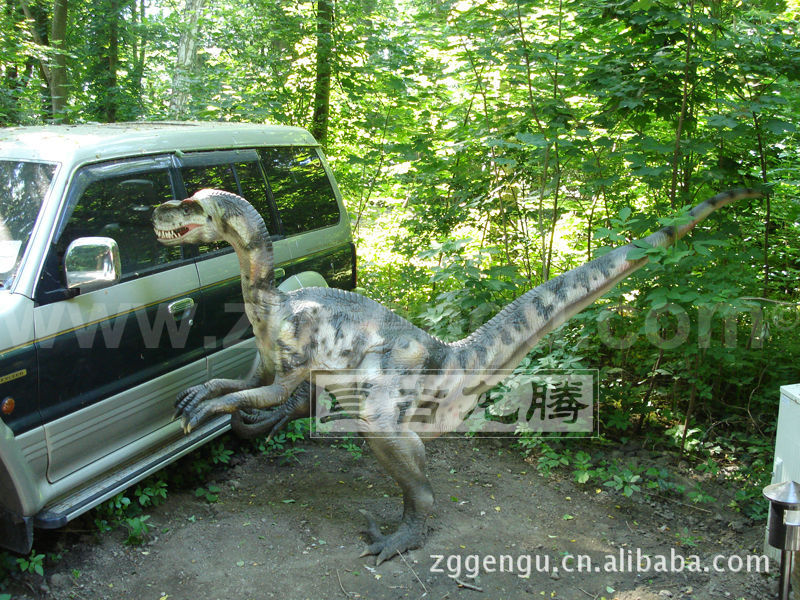 p汽车