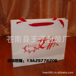 纸袋 定做 无纺布袋/环保袋/包装袋/礼品袋订做 艾菲服装袋