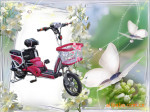 ��֮�� �綯���г� �綯��