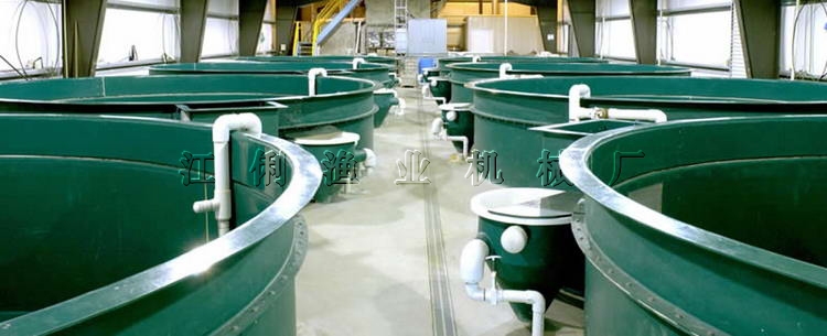 渔业机械-工厂化循环水养鱼车间-渔业机械尽在