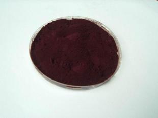 原料药-厂家生产葡萄皮提取物 40%-80%多酚