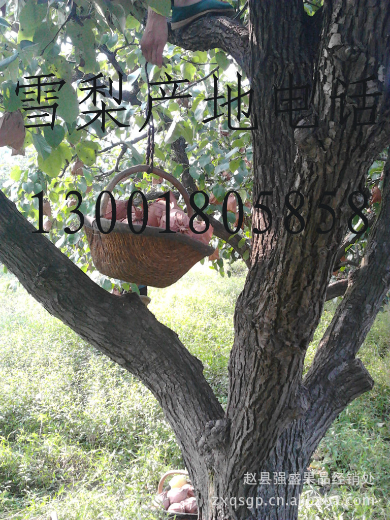 IMG_20120830_084545_0