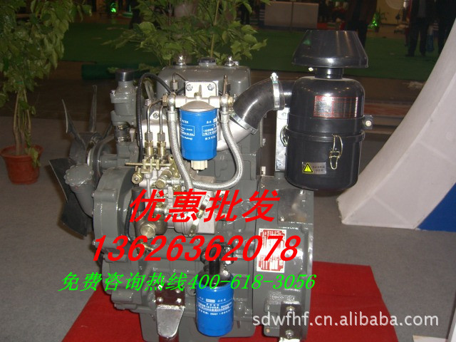 CIMG1919_副本_副本