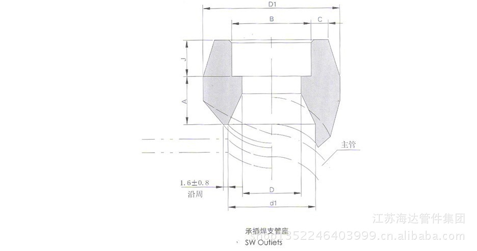 厂家直销 锻制管座 承插管座 螺纹管座 对焊管座