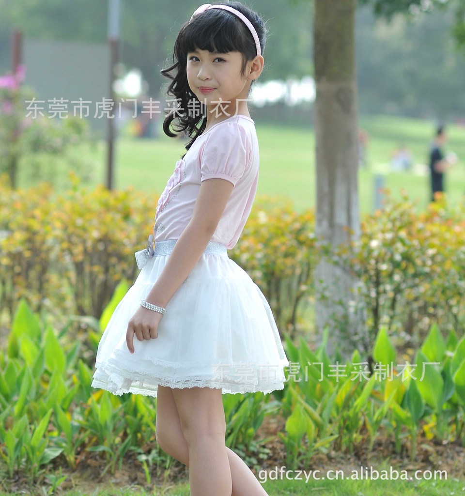 批发采购童裙-<em>2012女大童裙子</em>公主系列<em>夏</em>款一