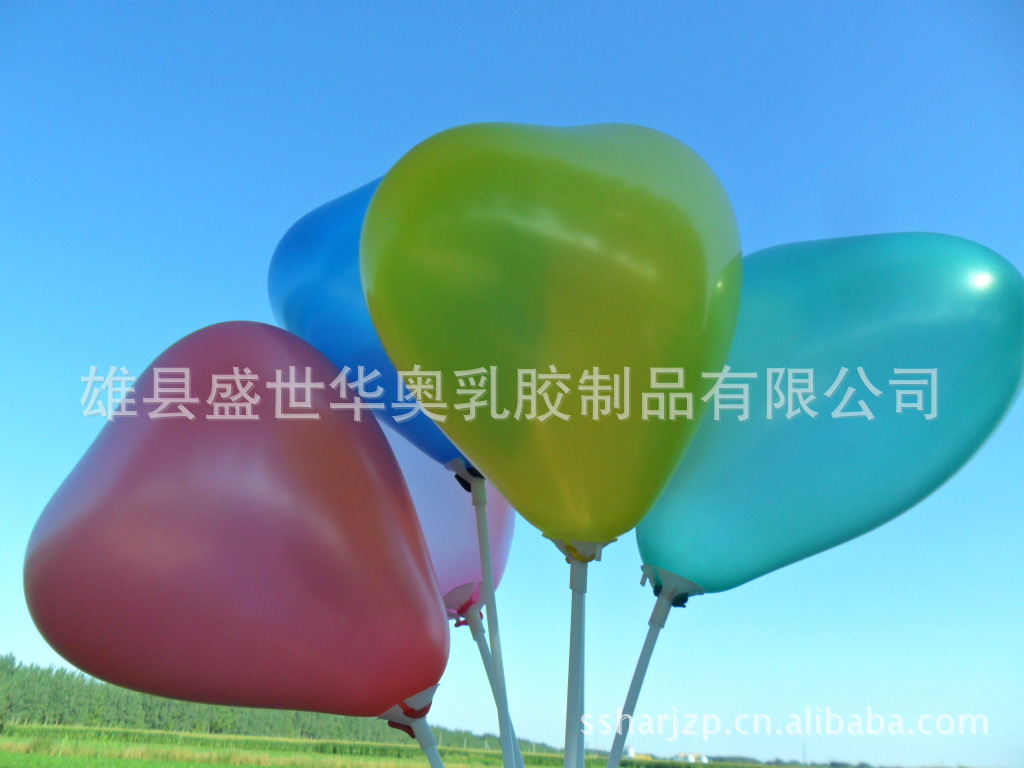 SAM_8678