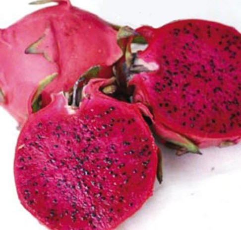 其他生鲜水果-海南红心火龙果12元一斤10斤一