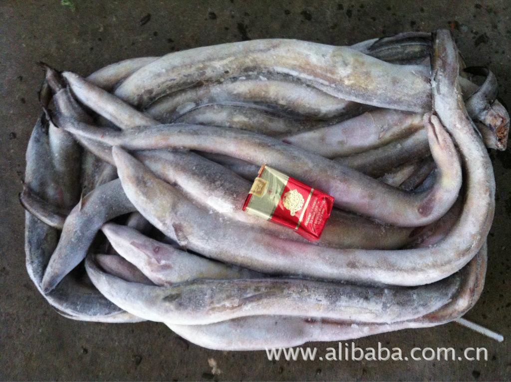 【舟山带鱼】价格,厂家,图片,鱼类,舟山市惠民桥