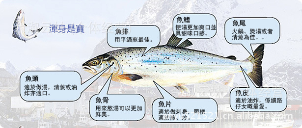 【进口冷冻三文鱼 挪威冷冻三文鱼】价格,厂家,图片,鲜活\/冷冻水产,余淑云妹 (个体经营)-马可波罗网