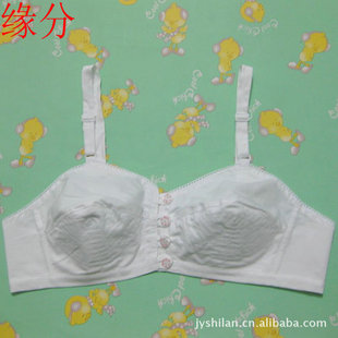批发采购<em>文胸</em>-专柜正品古今<em>传统</em>纯棉<em>布胸罩</em> 侧