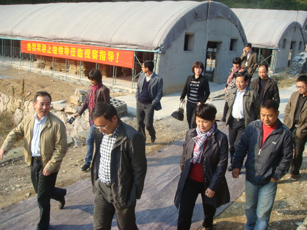 比利时兔 新西兰 大耳白种兔 肉兔-其他家畜价