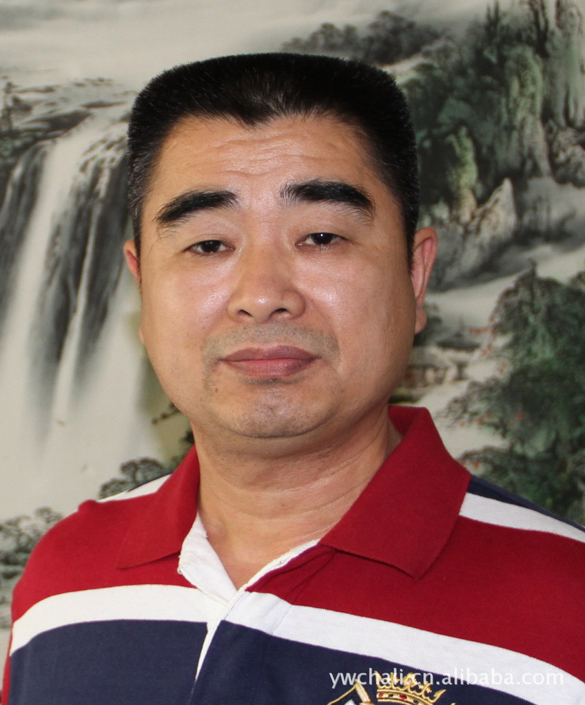 杨建东钻石画全国诚招特许加盟图片,杨建东钻