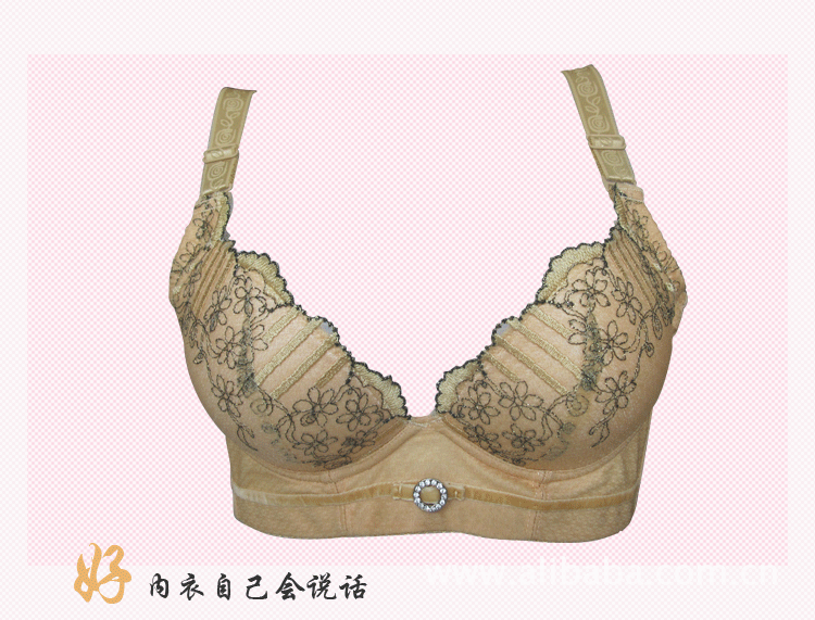 【秋冬<em>黛安芬</em>精油<em>水袋</em>按摩调整型<em>文胸</em>U型刺绣