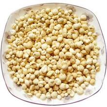 小平贝_平贝价格_优质平贝批发\/采购