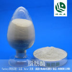 面粉用脂肪酶LBK—BX400