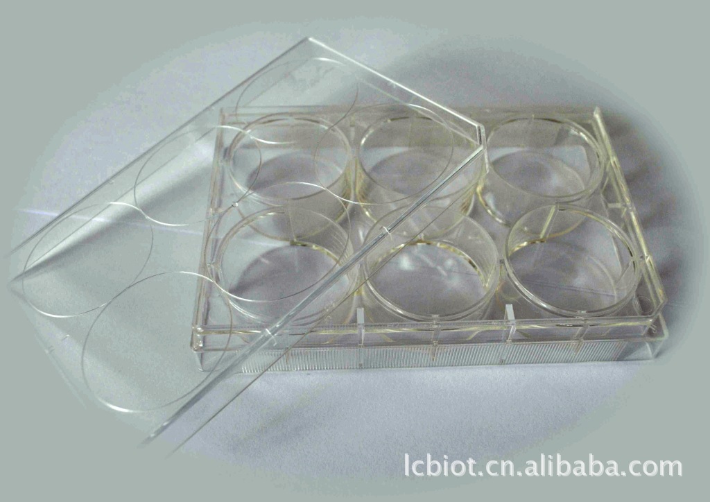 【现货出售高生物相容性【细胞培养板】96、