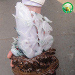 �ڳ塾���Ρ�Ʒ�ƣ���Ȼ��䣬�������񣬽ڲ��������ҾӰڼ�