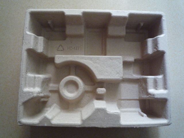 IPFM再燃佛山首日开幕人气爆表纸浆模塑狂欢席卷大湾区