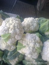 惠州农产品市场_惠州农产品市场批发_惠州农