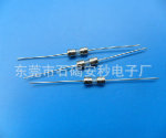 优质供应商3.6*10玻璃保险丝,带引脚玻璃保险丝