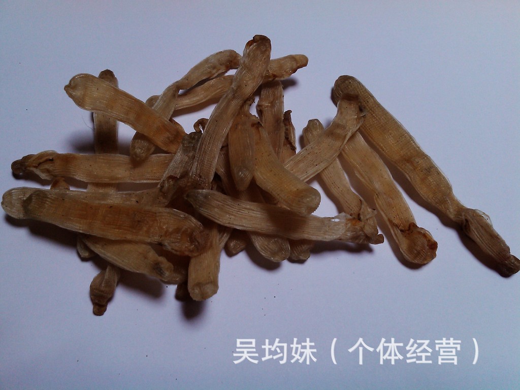 沙虫 沙虫干 海味特产 海味干货 沙虫 批发图片