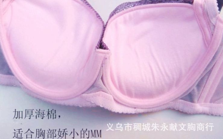 【【清仓特价】<em>雪梦洁</em>聚拢<em>文胸品牌</em>调整型<em>文胸</em>