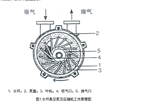 厂家直销山东水环式真空泵,液环式真空泵 2bv系列