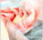 HL631�λ�õ�� ��̩��ׯ˿��/����ֱ��˿������