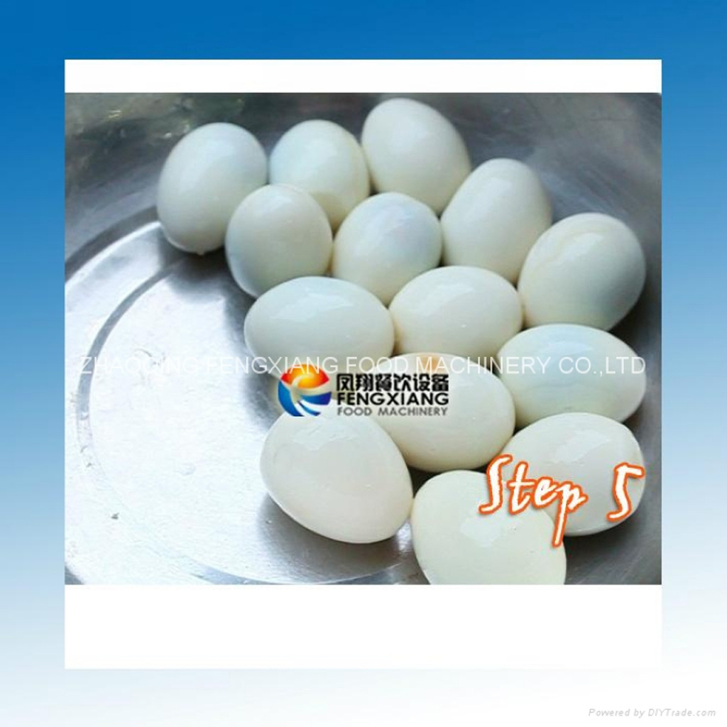 果蔬加工设备-鸡蛋剥壳机 鸡蛋去壳机 效率高破