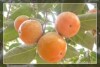 ������������רҵ�����繩Ӧ������������ˮ������