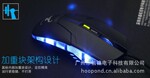 ����Ы����� K-Scorpion 5D��Ϸ����� ԭװ��Ʒ �ɻ���