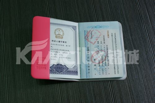【供应护照套,PVC,飞机护照套,时尚精致,款式