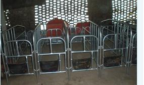 供应玉林畜牧器械设备养殖场母猪限位栏猪定位栏猪限位栏一套10个