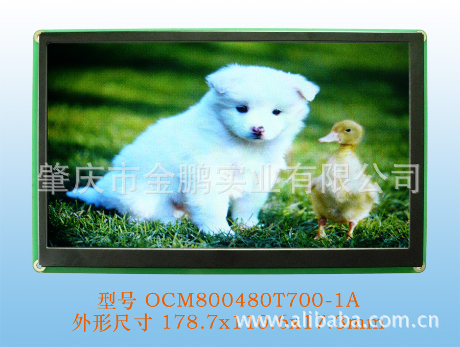 OCM800480T700-1A